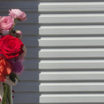 Gia Studio - Daily Vase with reflexed roses, tulips, and seasonal blooms in bubble vase.