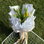 TULIPS EN MASSE
