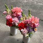 DAILY BLOOMS - GIA STUDIO