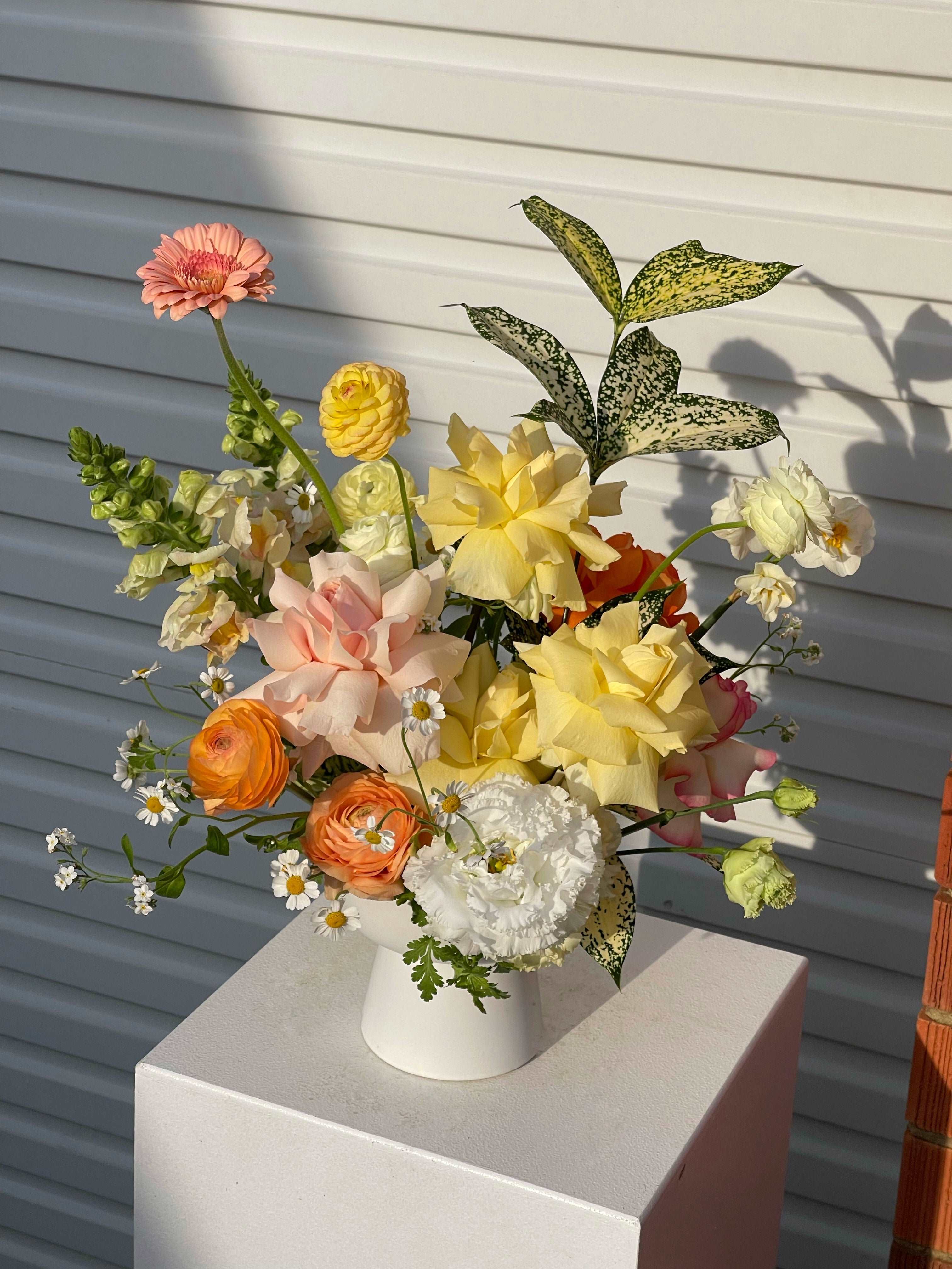 DAILY BLOOMS - GIA STUDIO
