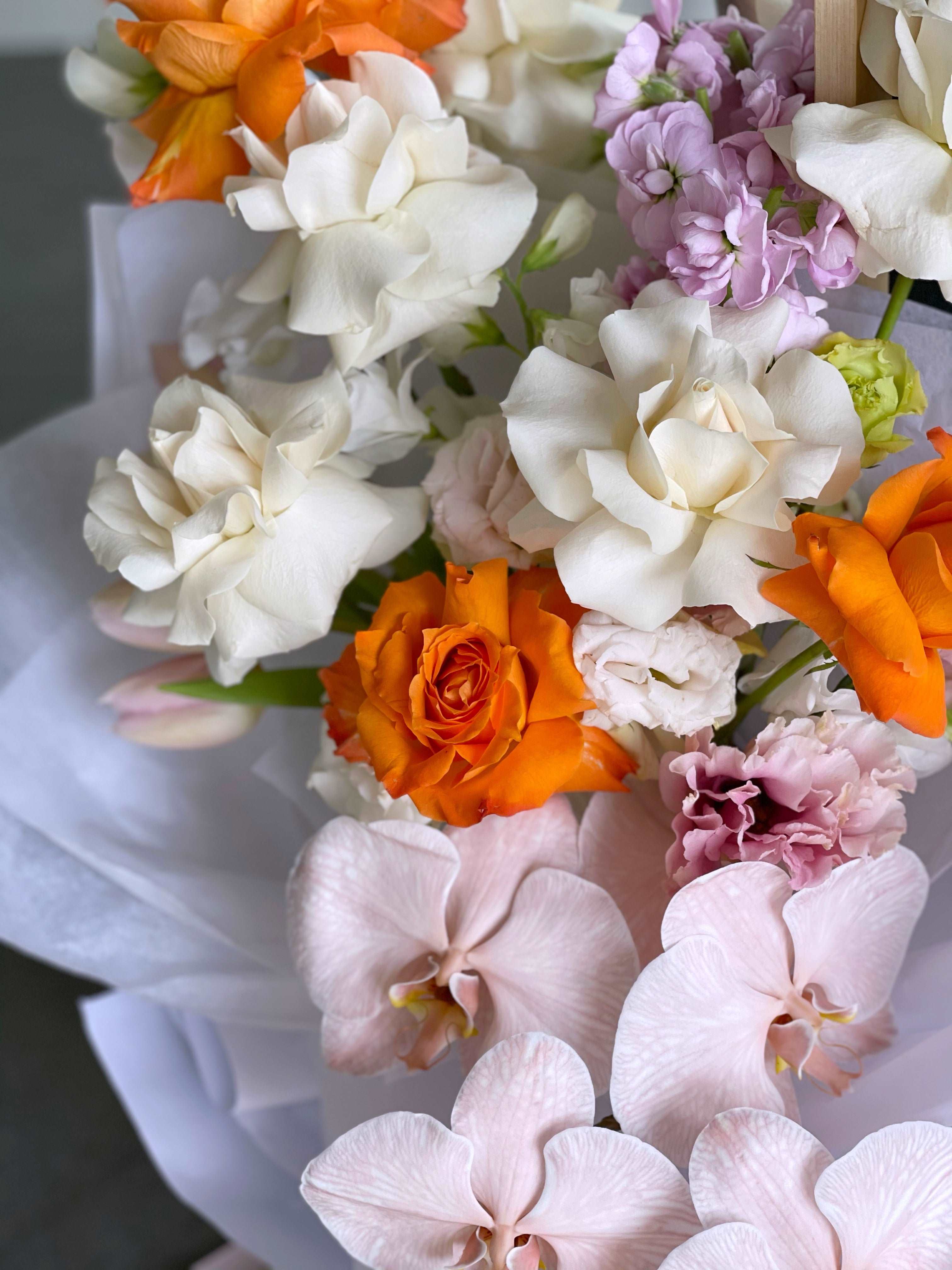 PEACHES + CREAM - GIA STUDIO