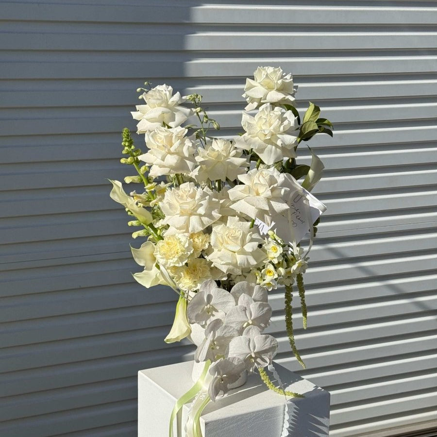 ENCHANTED - GIA STUDIO