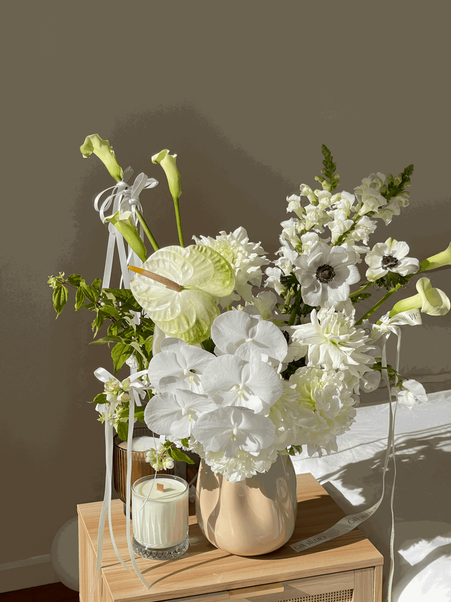 ENCHANTED - GIA STUDIO