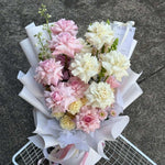 PRETTY IN PINK - GIA STUDIO
